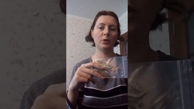 Курс "Семейный питомник". Семена1 смотреть онлайн