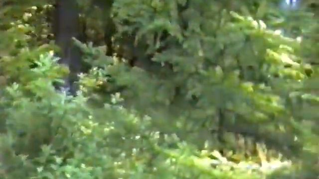 1996 год смотреть онлайн