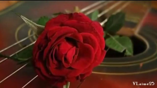Patricia Kaas - Мне нравится смотреть онлайн