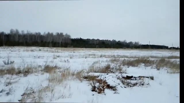 На лысике по снегу смотреть онлайн