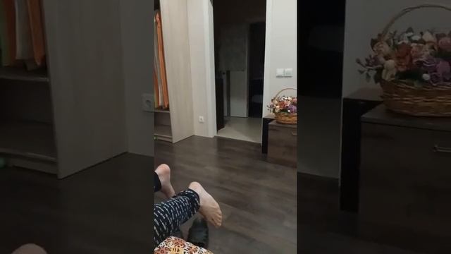 Смешные видео приколы.mp4 смотреть онлайн