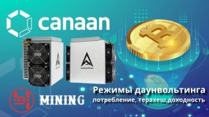 Avalon 1346 107Th режимы, даунвольтинг, потребление,доходность