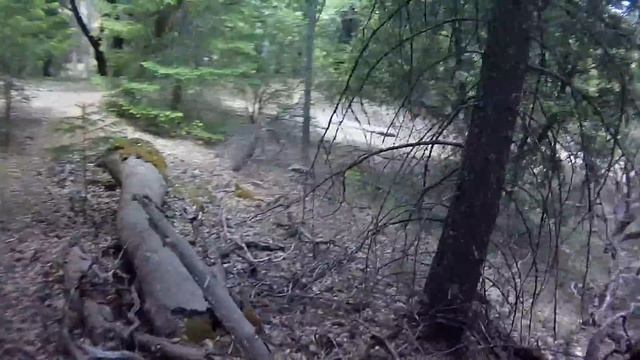 Boggs: Game 2 trail смотреть онлайн