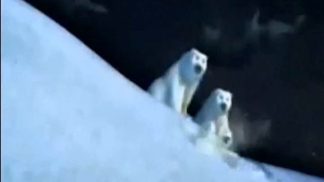 Coca Cola Polar Bears Christmas Party 2005 TV Commercial HD смотреть онлайн