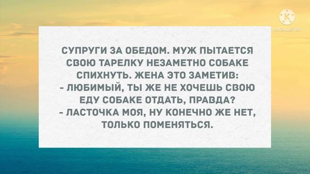 Милый, раздень меня словами... Подборка веселых анекдотов! Приколы! смотреть онлайн
