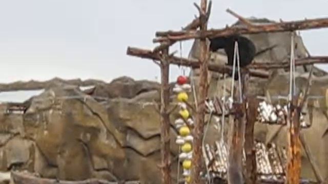 Зоопарк Ижевск смотреть онлайн