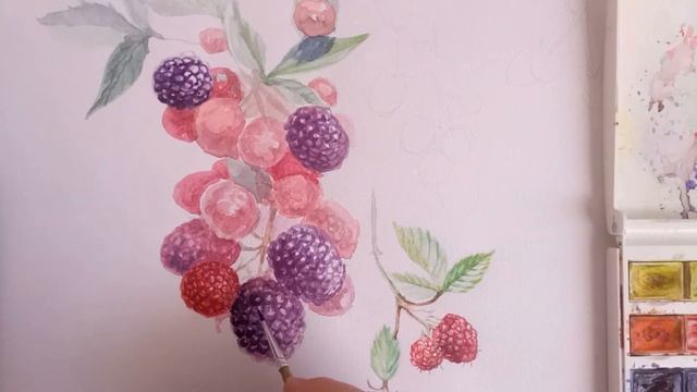 36.Как нарисовать ботаническую иллюстрацию.Ежевика. How To Draw A Botanical Illustration.Blackberry