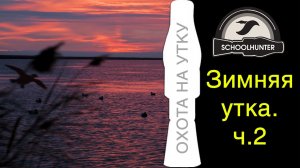 Зимняя утка, охота с манками. Часть 2
