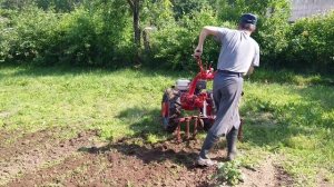 Мотоблок МТЗ + культиватор.