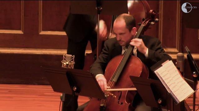 A Far Cry performs Lembit Beecher's "The Conference of the Birds" смотреть онлайн