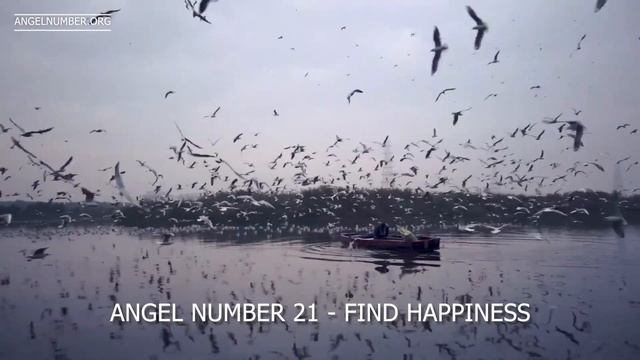 2112 Angel Number - What Are The Angels Telling You?