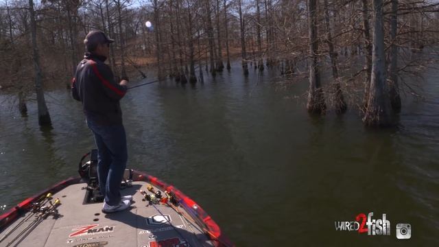 How to Power Fish a Shaky Head Worm for Bass
