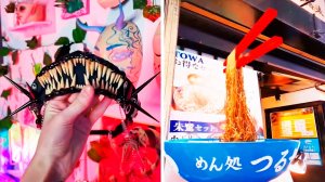 Популярное из Тик Ток (86 часть)