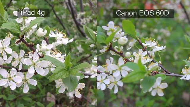 iPad NEW vs Canon60D. смотреть онлайн