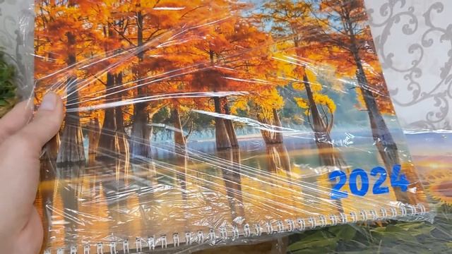 ФИКС ПРАЙС ? Наконец-то привезли ? КУПИЛА СРАЗУ ТРИ ? Новинки Fix Price Октябрь 2023 смотреть онлайн