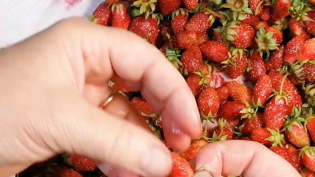 Чистка без хлопот