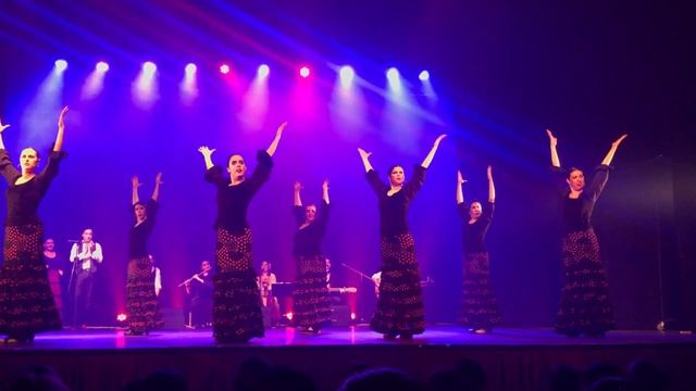 Muestra - Zambra Flamenco Montevideo - Jaleos Extremeños/Bulerías Romance