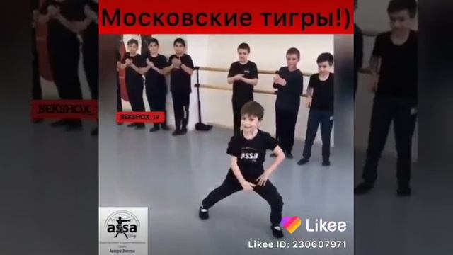 Московский терьер смотреть онлайн