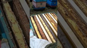 Ставим магазинные надставки на точке.