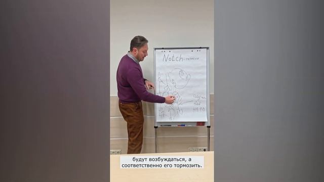 Эффективно лечим ушной шум Notch-терапией смотреть онлайн