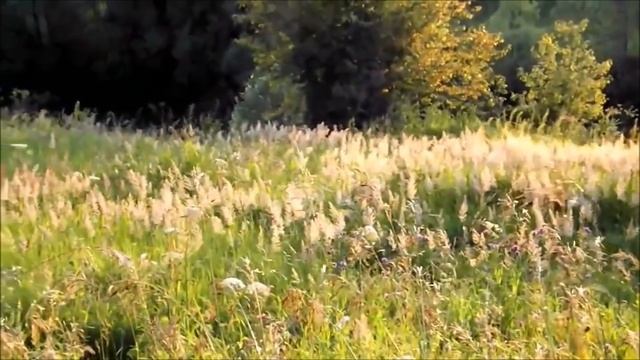 Медитация РА "СТИХИЯ ЗЕМЛИ" (20.06.18) смотреть онлайн