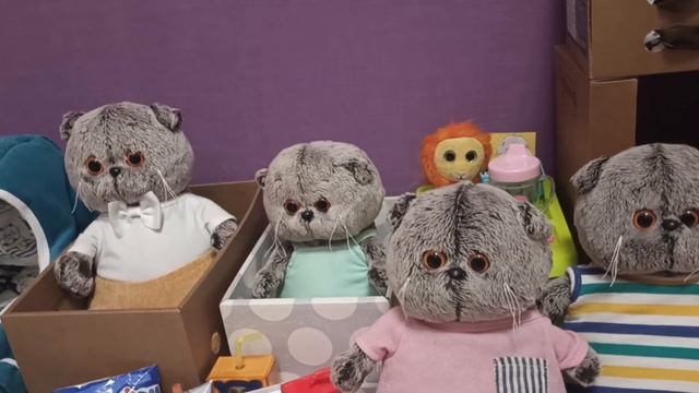 Обзор еды для басиков.