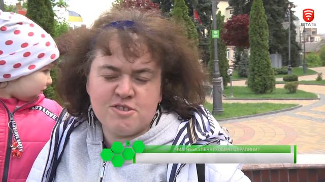 -Рецепт здоров'я- 2019-05-21 Хвороба котячих подряпин смотреть онлайн