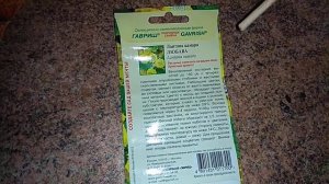 Сажаем Косточки Лантана Камара Наглядное видео для новичков