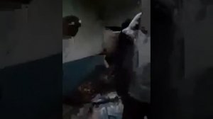 хиенати зани шавхардор бо марди бегона