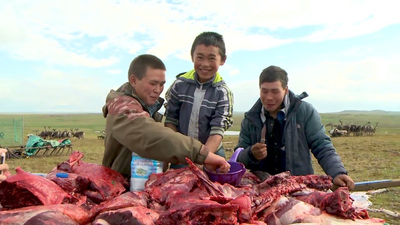 ОНИ ЕДЯТ СЫРОЕ МЯСО С КРОВЬЮ. THEY EAT RAW MEAT WITH BLOOD смотреть онлайн