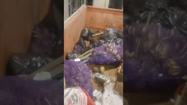 картошка Википедия видели смотреть онлайн