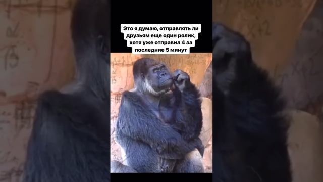 VID_20231204_141358_579