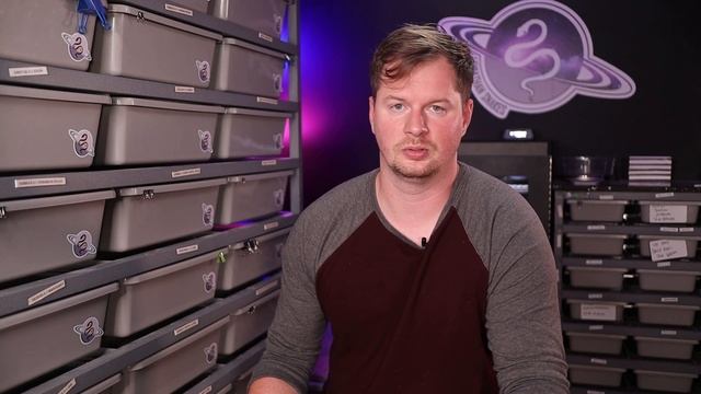 Things We Wish We Understood as New Ball Python Breeders смотреть онлайн