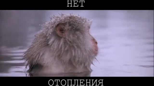 думайте!.avi смотреть онлайн
