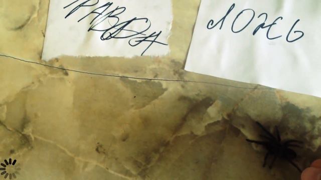 ГОМУНКУЛ | ПРАВДА ИЛИ ЛОЖЬ смотреть онлайн