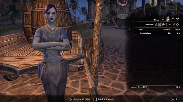 ESO Gameplay part 2 | A thief a Monkey and a Pirate смотреть онлайн