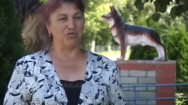 Проект «Народная экспертиза» продолжает сбор и обсуждение идей белгородцев смотреть онлайн