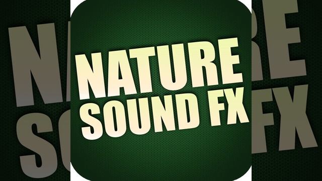 Flowing Stream, Calm Waters смотреть онлайн