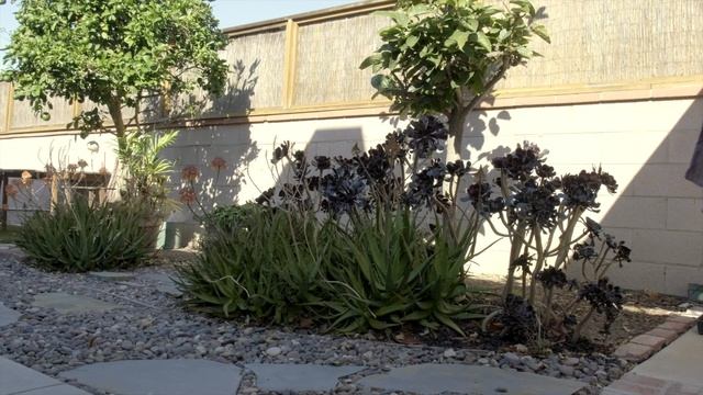 Fujifilm XF 18-135mm F/3.5-5.6 Review