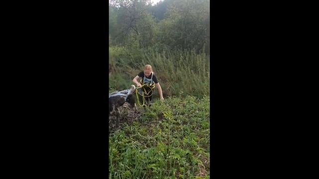 Первые соревнования смотреть онлайн