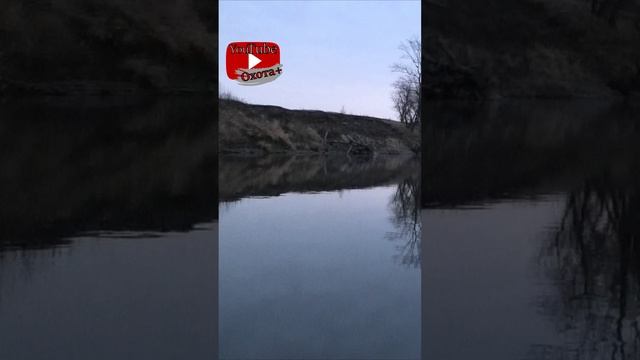 Охота Осень Заморозки #shorts #охота #охота+ #hunting #лодка #утка #ship смотреть онлайн