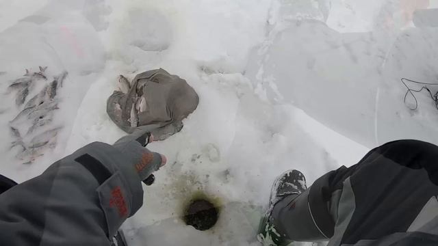 Мормышка Вылавливает всю КРУПНУЮ ПЛОТВУ!!! Ловля плотвы зимой! смотреть онлайн