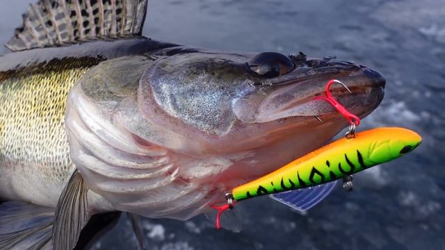 Нашли логово сомов монстров подо льдом! Подводные съёмки! Зимняя рыбалка 2022 смотреть онлайн