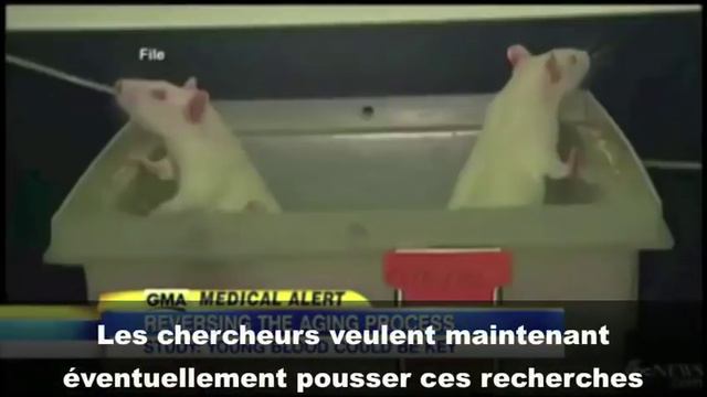 Archive : Du "sang jeune" pour rajeunir, les journalopes US aux anges... смотреть онлайн