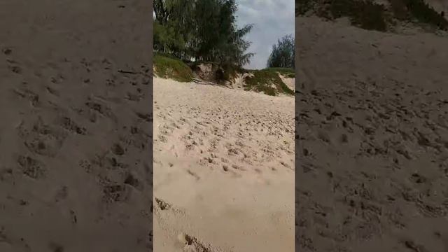 Конная прогулка по берегу океана. Флорианополис #Florianopolis смотреть онлайн
