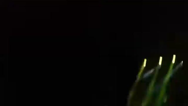 poisen The prodigy Екатеринбург 04.11.2016 смотреть онлайн