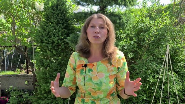КЛЕМАТИСЫ. Самые зимостойкие, обильно и долгоцветущие! смотреть онлайн