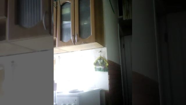 Эксмеремент с ПВА и уксусом смотреть онлайн