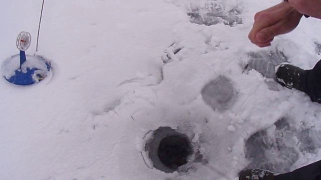 2 01 20 г Щука 4,2 кг. - раненая, то ли гарпуном, либо острогой. смотреть онлайн