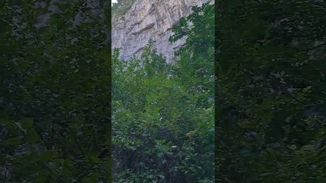 Ущелье "Каменный мешок" в Юпшарском каньоне, Абхазия, август 2018 год смотреть онлайн